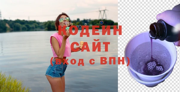 мдпв Вяземский