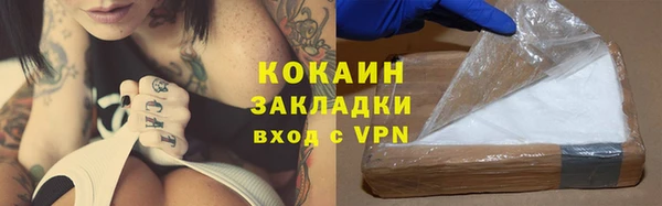 прущие крисы Горняк