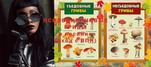 прущие крисы Горняк