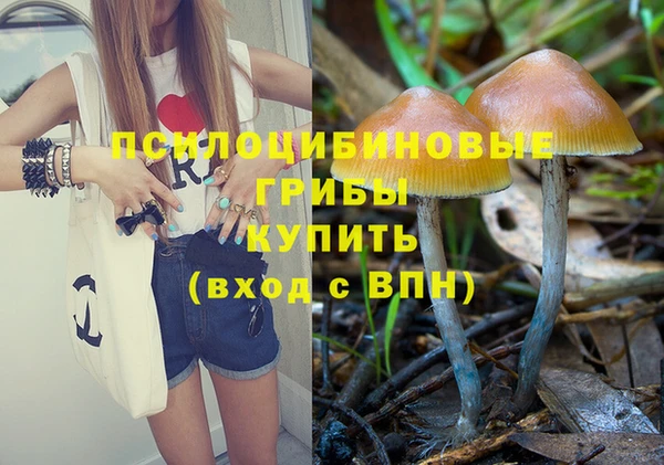 хмурый Горнозаводск